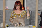 Ronja bei Tica Richterin Jane Allen aus England