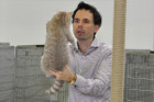 Queeny bei Tica Richterin Marion Schiff aus den USA