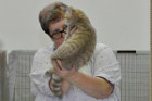 Ronja bei Tica Richterin Phillipa Holmes aus England