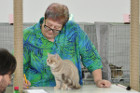 Ronja bei Tica Richterin Phillipa Holmes aus England