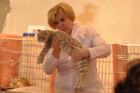 Ronja bei Tica Richterin Vlada Benina aus Russland