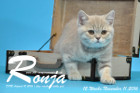 Ronja ist 12 Wochen alt geworden ( 11.11.2016 )