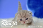 Ronja ist 3 Wochen alt geworden ( 09.09.2016 )