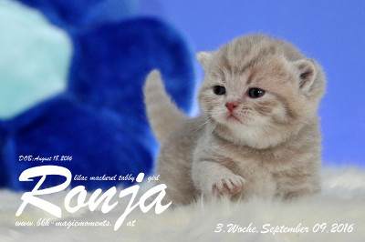 Ronja ist 3 Wochen alt geworden ( 09.09.2016 )