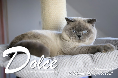 MagicMoments Dolce