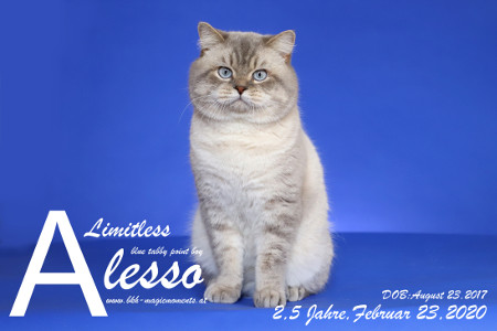 Alesso ist 2,5 Jahre alt ( 23.02.2020 )