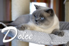 Dolce ist 16 Monate alt ( 06.03.2021 )