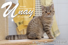 Unay alias Diego ist 4 Monate alt ( 18.12.2021 )