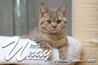 Unay alias Diego ist 4 Monate alt ( 18.12.2021 )
