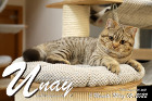 Unay alias Diego ist 6 Monate alt ( 05.03.2022 )