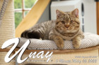 Unay alias Diego ist 6 Monate alt ( 05.03.2022 )