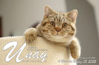 Unay alias Diego ist 6 Monate alt ( 05.03.2022 )
