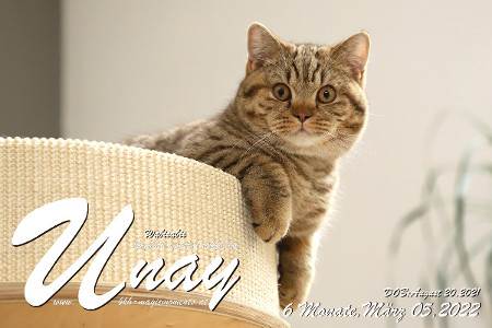 Unay alias Diego ist 6 Monate alt ( 05.03.2022 )
