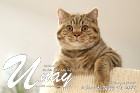 Unay alias Diego ist 6 Monate alt ( 05.03.2022 )