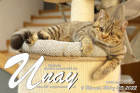 Unay alias Diego ist 6 Monate alt ( 05.03.2022 )