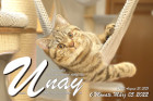 Unay alias Diego ist 6 Monate alt ( 05.03.2022 )