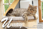 Unay alias Diego ist 6 Monate alt ( 05.03.2022 )