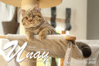 Unay alias Diego ist 6 Monate alt ( 05.03.2022 )