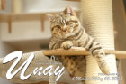 Unay alias Diego ist 6 Monate alt ( 05.03.2022 )