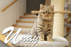 Unay alias Diego ist 6 Monate alt ( 05.03.2022 )