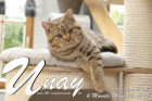 Unay alias Diego ist 6 Monate alt ( 05.03.2022 )