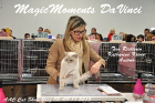 Tica Show in Budapest im November 2013