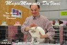 Tica Show in Budapest im November 2013