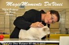 Tica Show in Budapest im November 2013