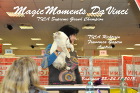 Tica Show in Budapest im November 2013