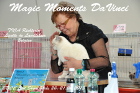 Show in Wels im April 2013