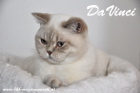 DaVinci ist 11 Monate alt (Juli 2013))