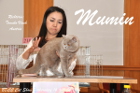 Mumin bei Tica Richterin Tomoko Vlach aus Österreich