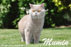 Mumin im Juni bei seinem Shooting im Feien !!