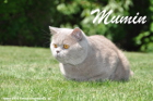 Mumin im Juni bei seinem Shooting im Feien !!