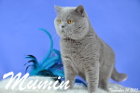 Mumin ist 2,5 Jahre alt ( November 2015 )