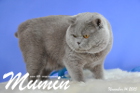 Mumin ist 2,5 Jahre alt ( November 2015 )