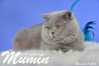 Mumin ist 2,5 Jahre alt ( November 2015 )