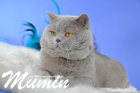 Mumin ist 2,5 Jahre alt ( November 2015 )
