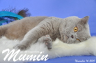 Mumin ist 2,5 Jahre alt ( November 2015 )