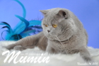 Mumin ist 2,5 Jahre alt ( November 2015 )
