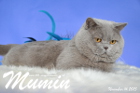 Mumin ist 2,5 Jahre alt ( November 2015 )