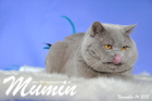 Mumin ist 2,5 Jahre alt ( November 2015 )