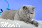 Mumin ist 2,5 Jahre alt ( November 2015 )