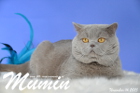 Mumin ist 2,5 Jahre alt ( November 2015 )