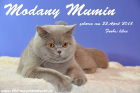 Mumins 1.Fotoshooting am 25.01.2014