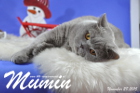 Mumin ist 2,5 Jahre alt ( November 2015 )