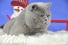Mumin ist 2,5 Jahre alt ( November 2015 )