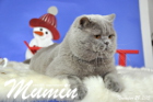 Mumin ist 2,5 Jahre alt ( November 2015 )