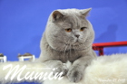 Mumin ist 2,5 Jahre alt ( November 2015 )