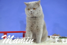 Mumin ist 2,5 Jahre alt ( November 2015 )